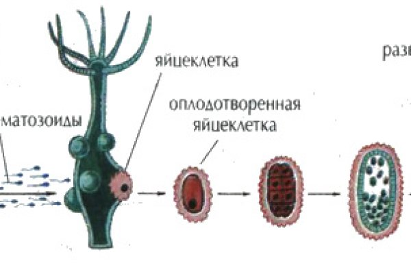 Как войти на кракен