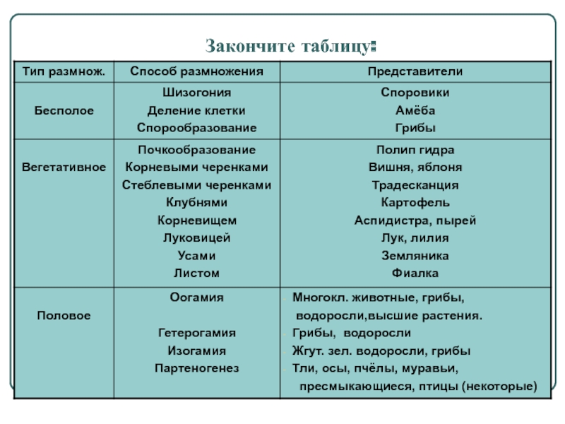 Забыл пароль от кракен