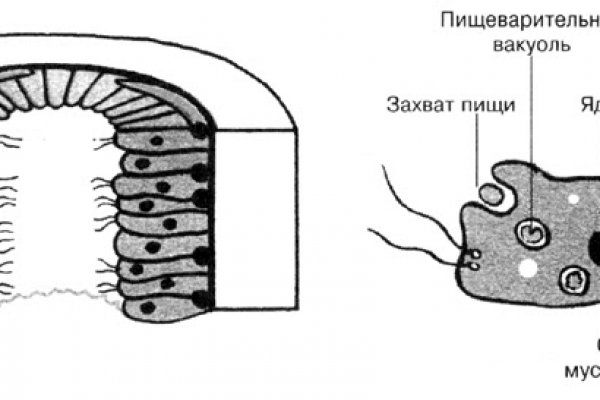 Кракен маркет плей