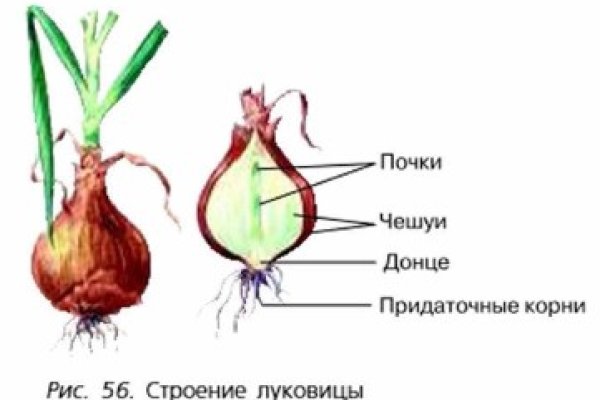 Kraken 4 ссылка